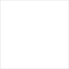 1000 Official Rally Towels - $1.80 each